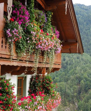 Flower-covered Bavarian balcony in Oberaudorf